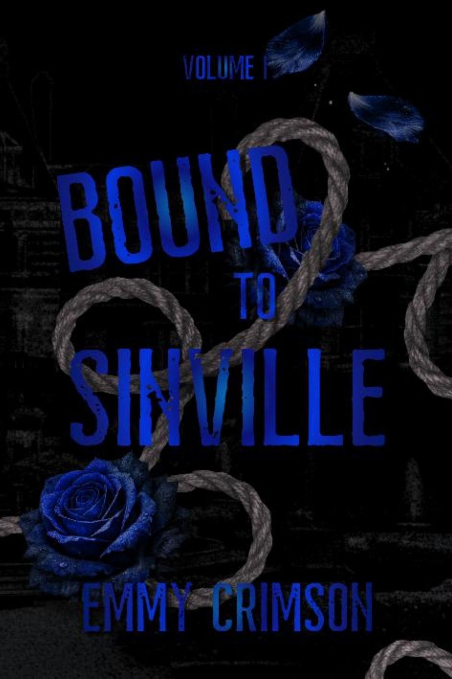 Bound To Sinville Ebook