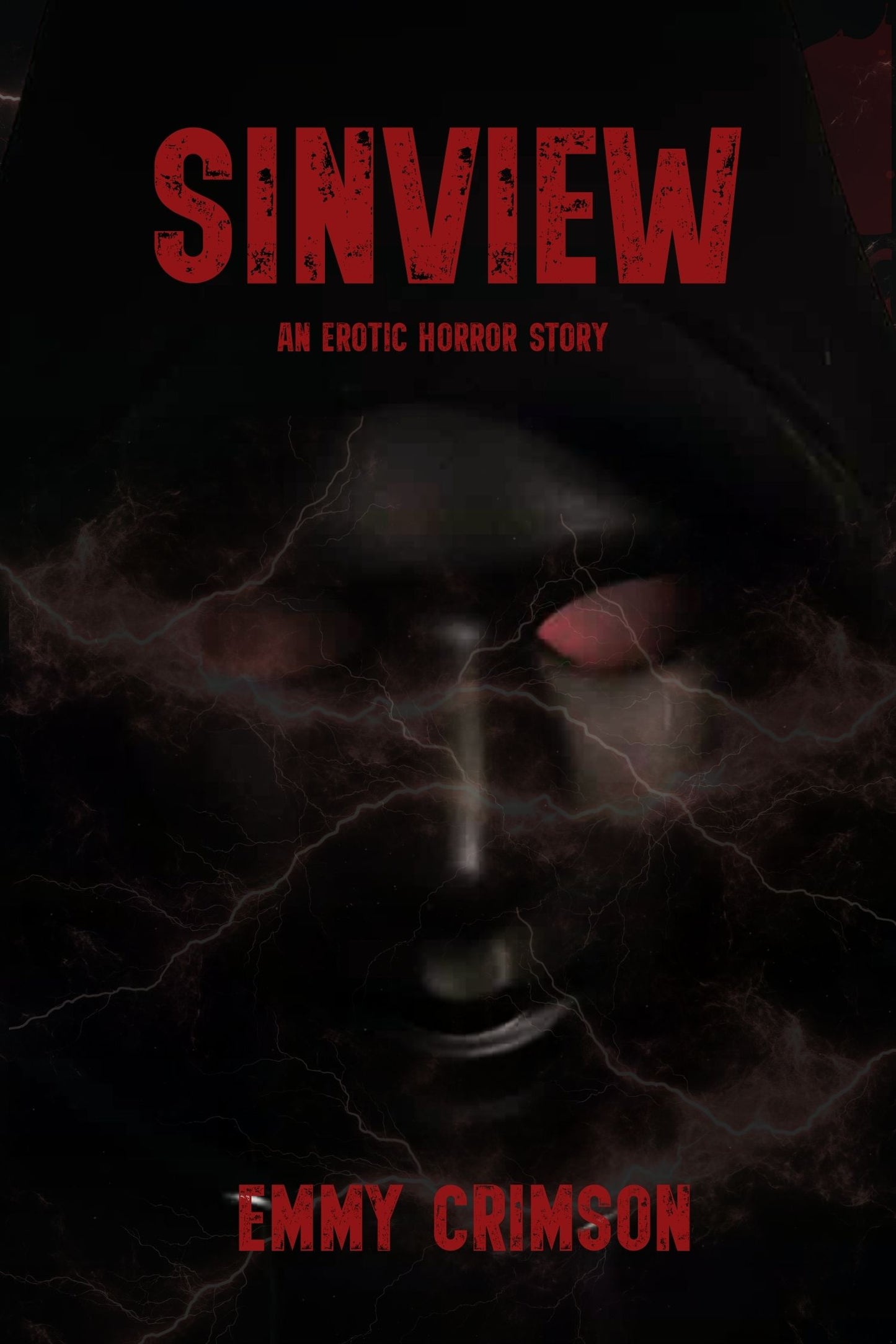 Sinview Ebook